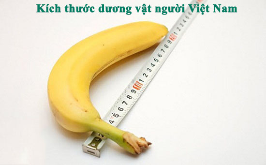 Kích thước dương vật người Việt Nam