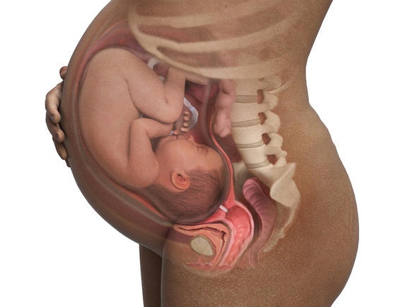 Hình ảnh thai nhi tuần 39